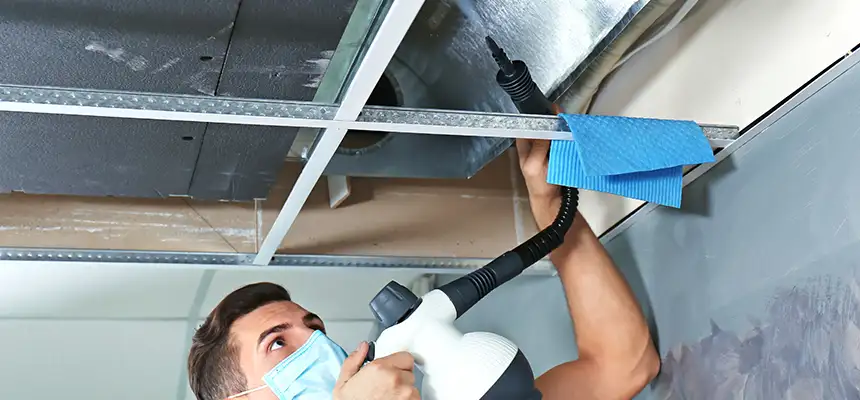 Our Air Duct Rodent Removal Services in Woburn, MA