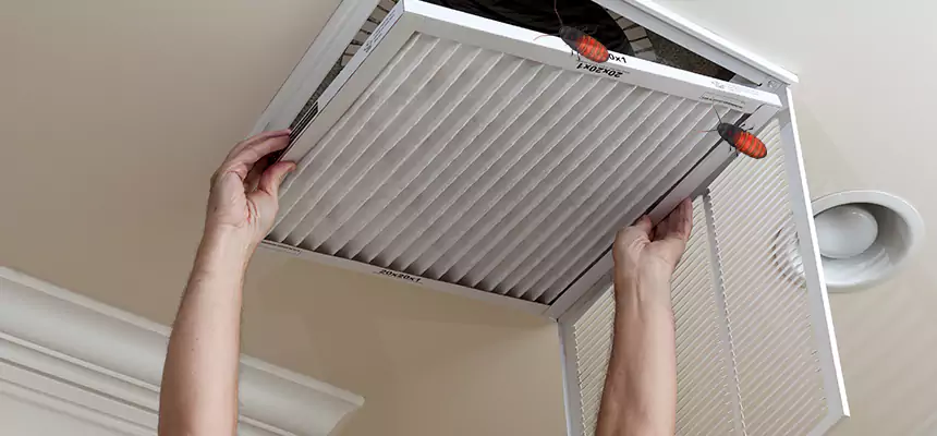 Our Insect Removal from Air Ducts Services in Woburn, MA