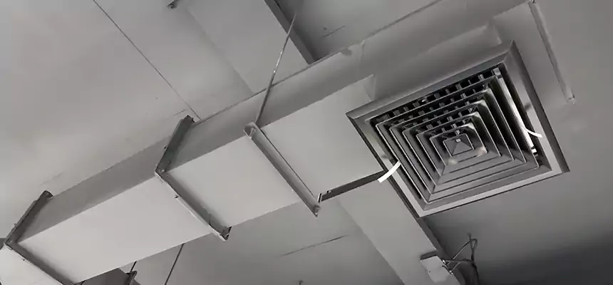 Our Rodent Droppings In Vents Services in Woburn, MA