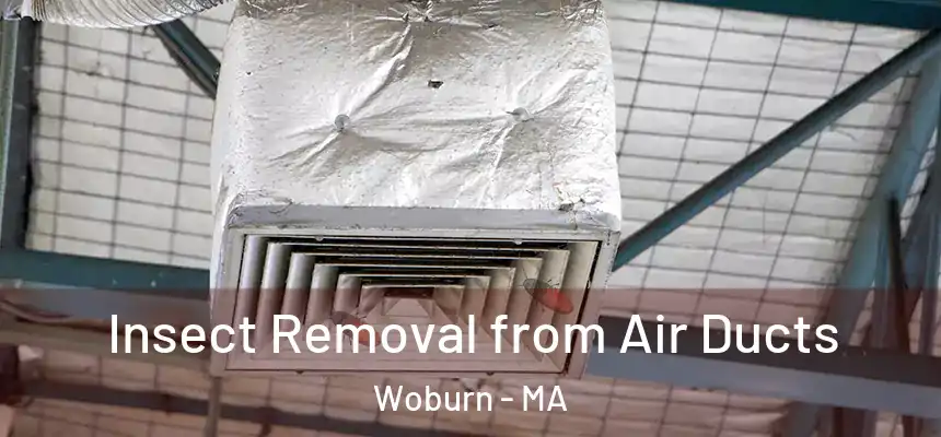  Insect Removal from Air Ducts Woburn - MA