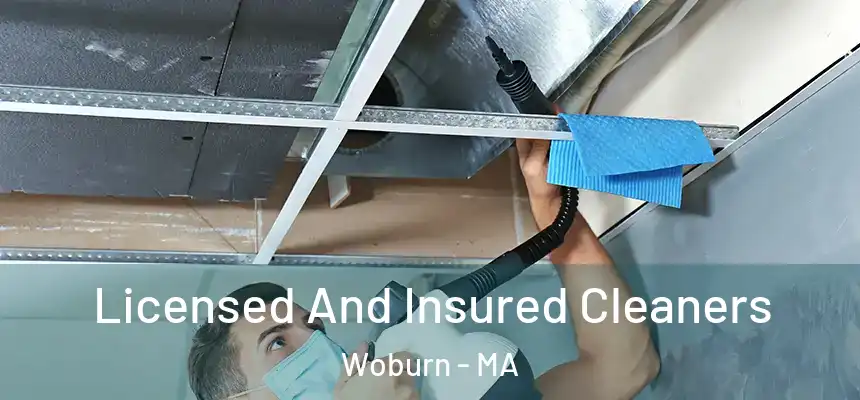  Licensed And Insured Cleaners Woburn - MA