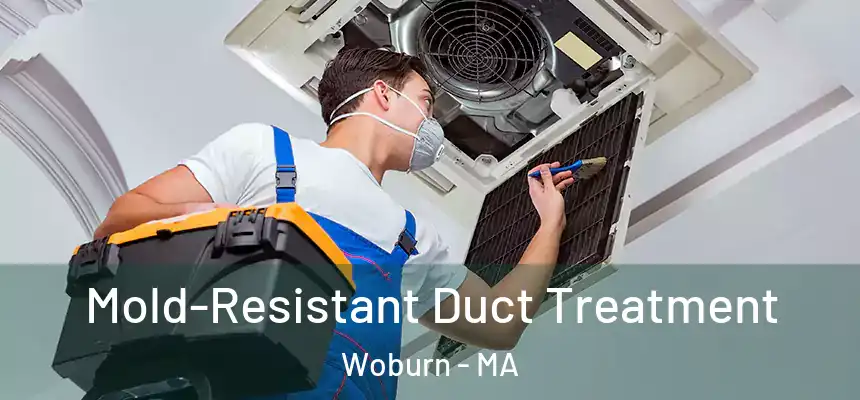  Mold-Resistant Duct Treatment Woburn - MA