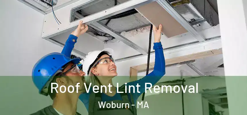  Roof Vent Lint Removal Woburn - MA