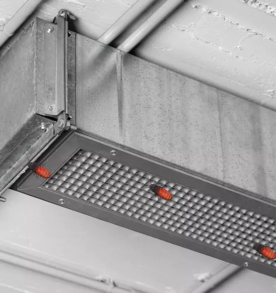 About Air Duct Cockroach Removal in Woburn, MA