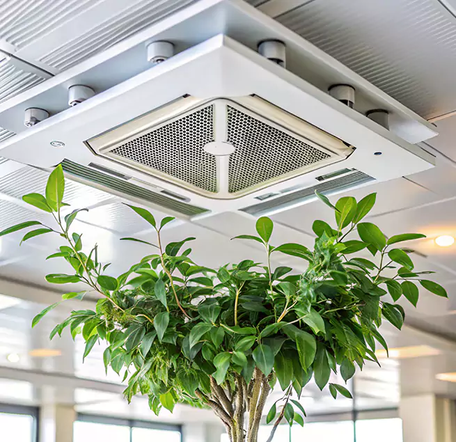 Why Homeowners & Businesses Trust Us in Woburn, MA?